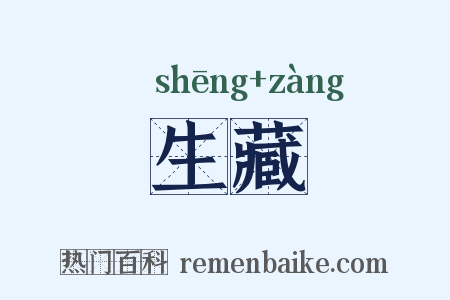 生藏是什么意思的图片
